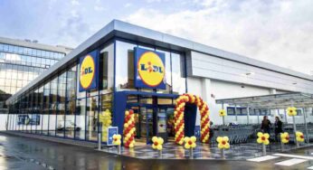Lidl, in pochi sanno chi produce (veramente) la pasta: è uno dei marchi più famosi
