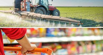 Ritirato uno dei condimenti più diffusi: contiene pesticidi (meglio controllare in dispensa)