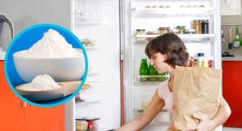 Bicarbonato, se lo metti così in frigo gli alimenti dureranno molto di più: l’antico trucco (infallibile)