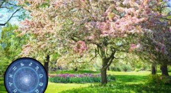 Oroscopo della primavera, a questo segno riuscirà tutto: fortuna sfacciata