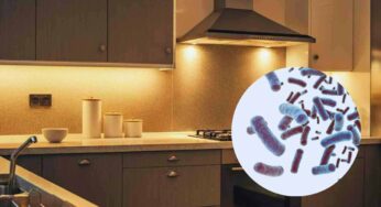 Il lato oscuro della tua cucina: oggetti innocui che potrebbero essere un covo di germi e vanno cambiati subito