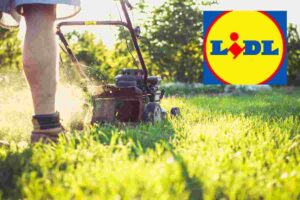 nuovo tagliaerba lidl