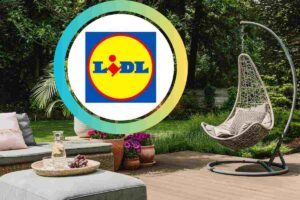Offerta Lidl giardino