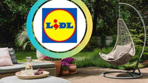 Offerta Lidl giardino