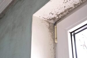 Problema umidità in casa