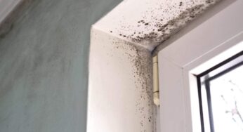 Umidità addio con i segreti della nonna, 3 trucchi infallibili per una casa asciutta e sana: inizia oggi stesso