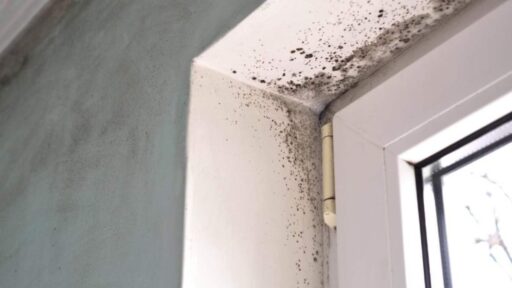 Problema umidità in casa