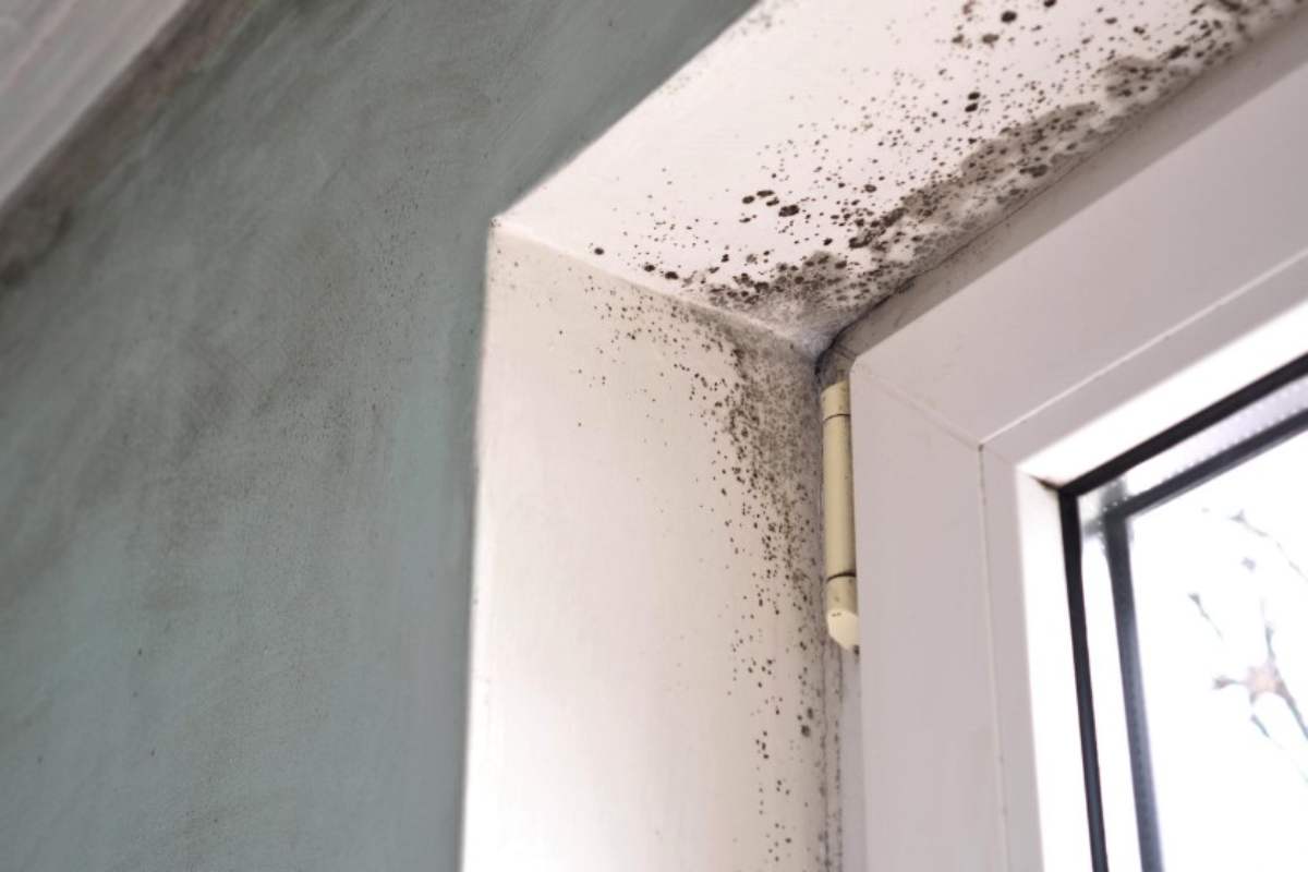 Problema umidità in casa
