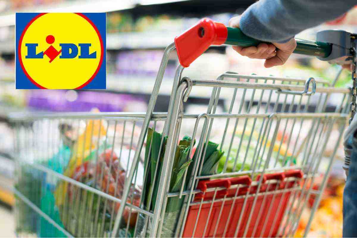 LIDL offerta imperdibile