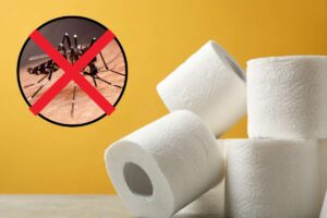 addio zanzare trucco carta igienica
