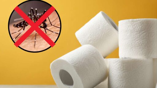 addio zanzare trucco carta igienica