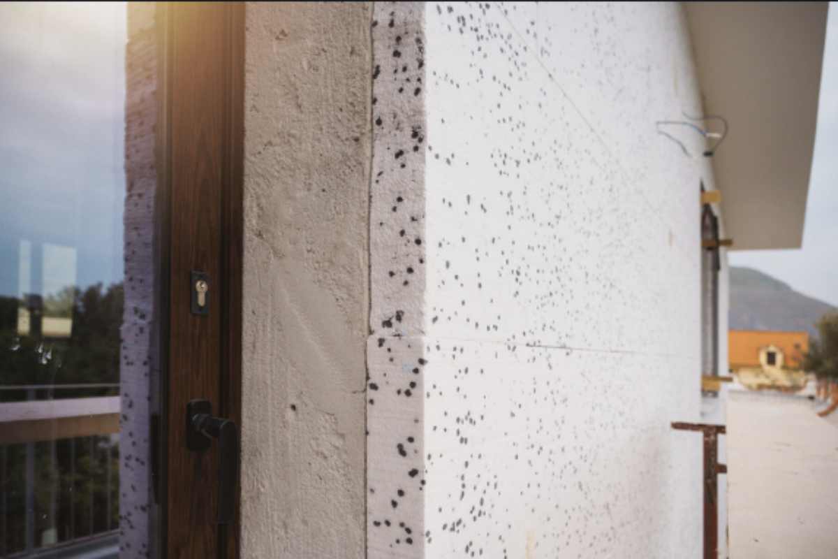 Quando il problema si manifesta in modo evidente e le formiche hanno già iniziato a proliferare nel cappotto termico, è comunque possibile intervenire efficacemente.