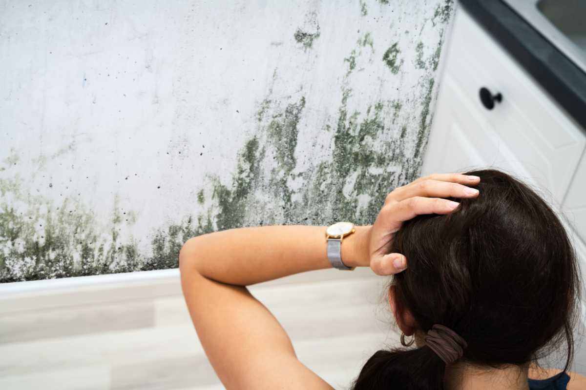 Muffa casa come risolvere