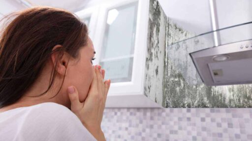 Muffa casa come risolvere