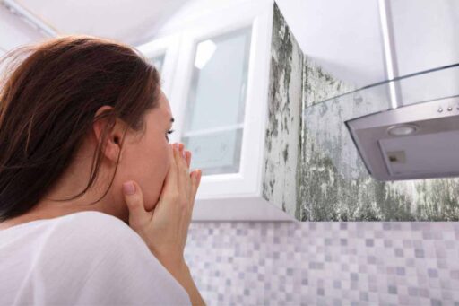 Muffa casa come risolvere