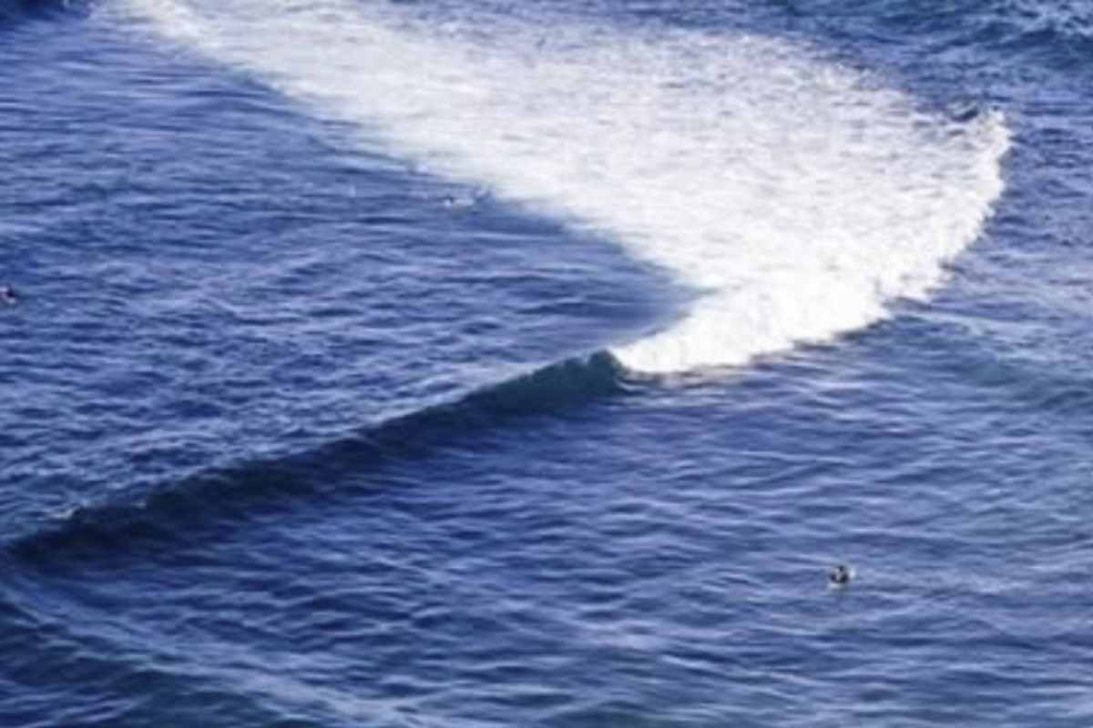 In Italia, questo fenomeno è piuttosto raro, ma è molto comune in alcune zone come l’isola di Ré in Nuova Aquitania (Francia)