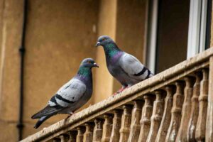 il metodo per tenere lontani i piaccioni