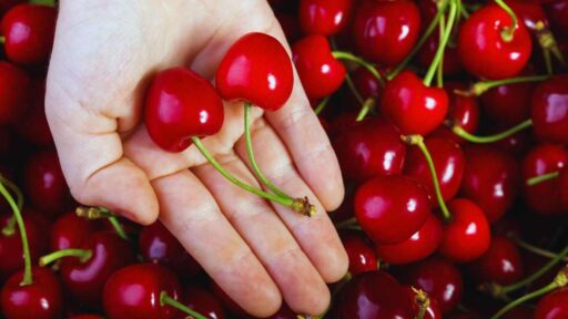 i pericoli nascosti nelle ciliegie