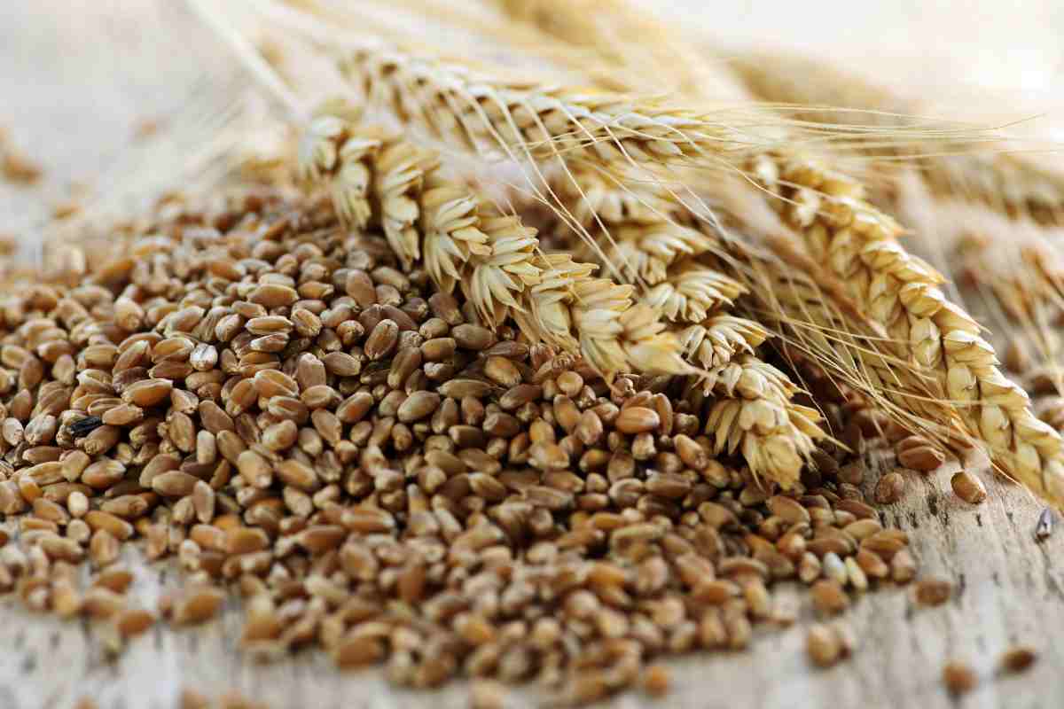 allerta cibo che credi sano