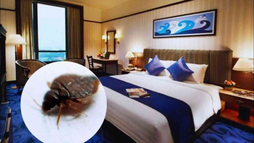 cimici da letto negli hotel
