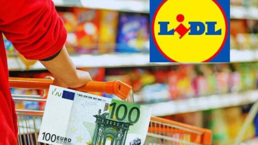 l'occasione da non perdere alla lidl