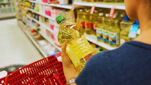 come scegliere l'olio di semi