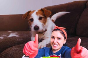 eliminare i peli degli animali in casa