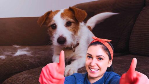 eliminare i peli degli animali in casa