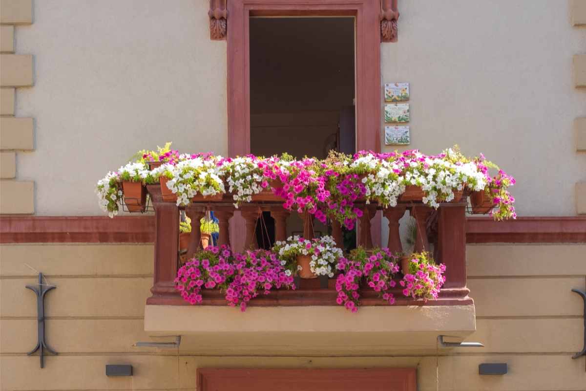 Balcone fiori casa